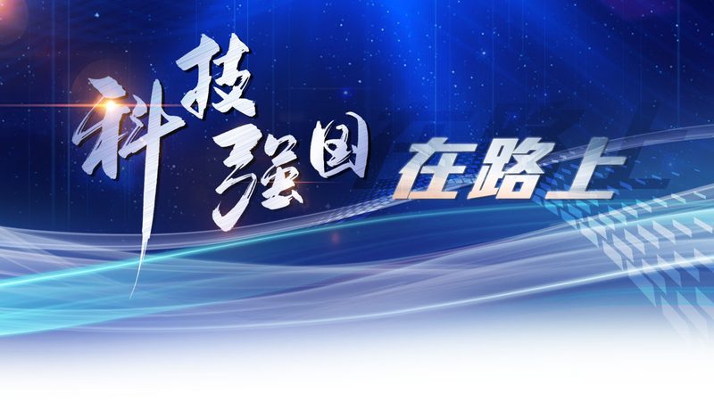 技术外包合同避坑指南：如何确保合作双赢